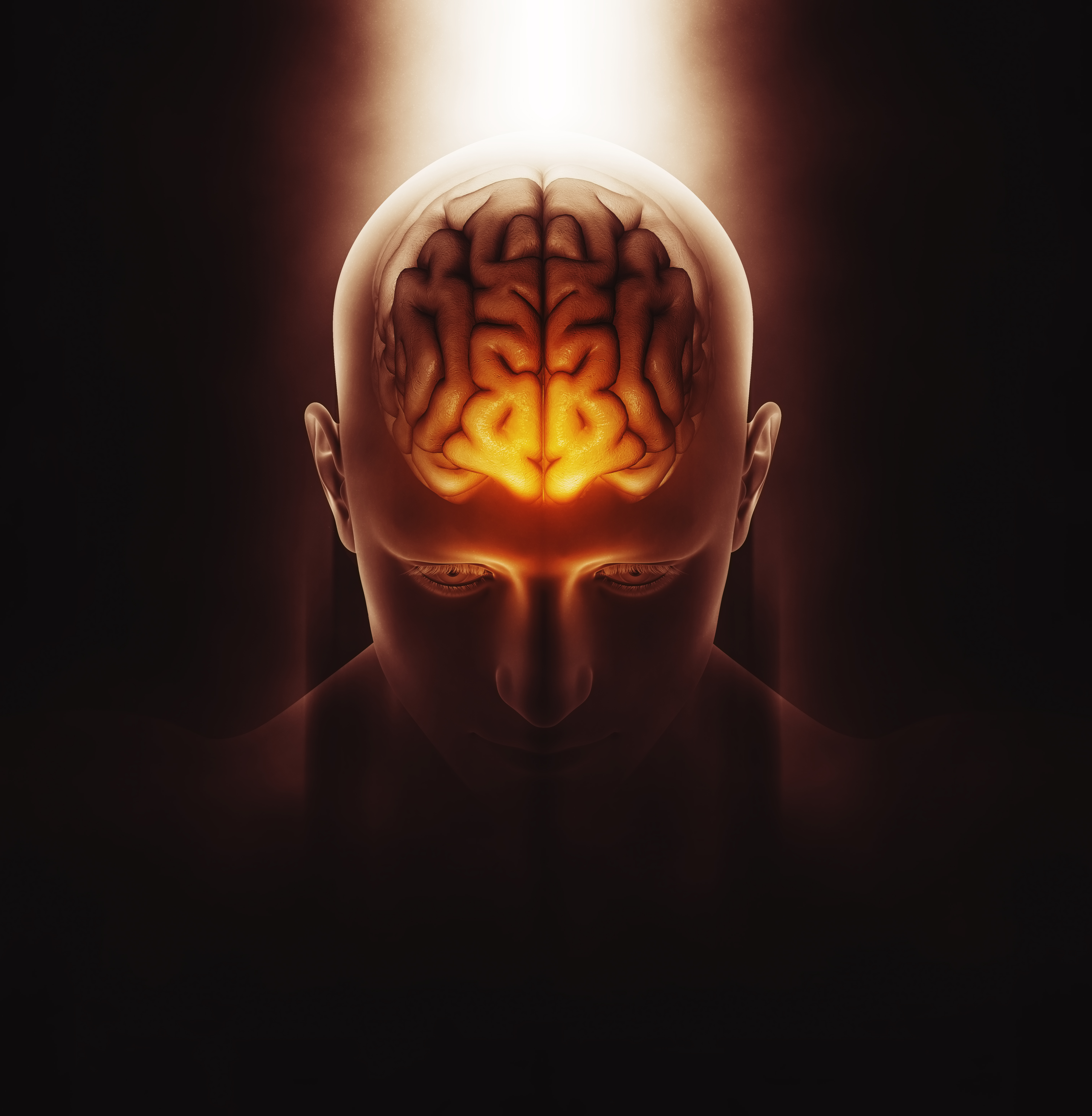 Vedic Lifesciences Brain Health webinar